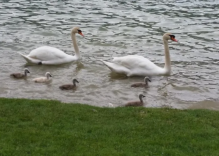 Apartamento Landhaus Fuchs